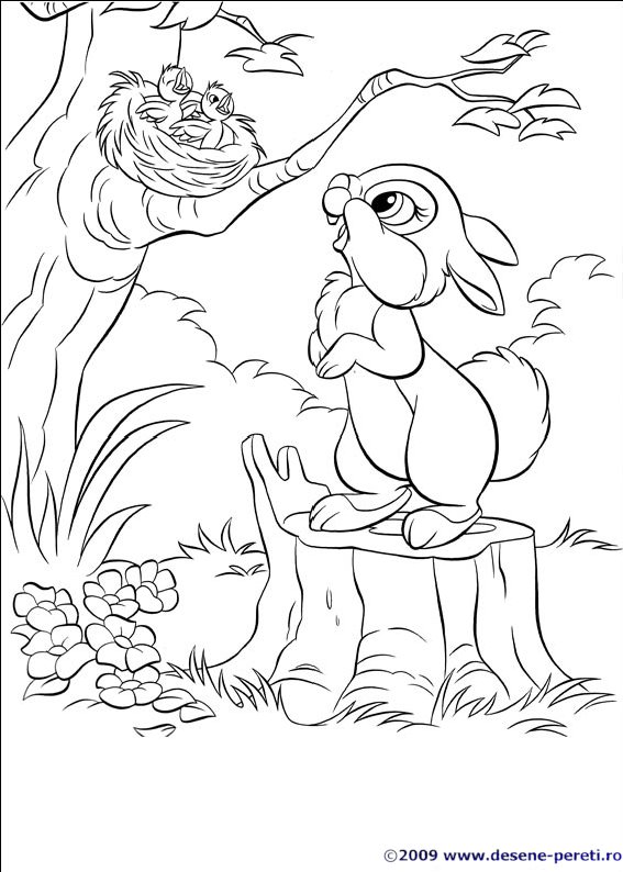 disney iepurasi desene colorat